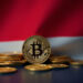 Bitcoin Indonesia Pitches Saylor-Style Reserve Strategy to Vice President’s Office