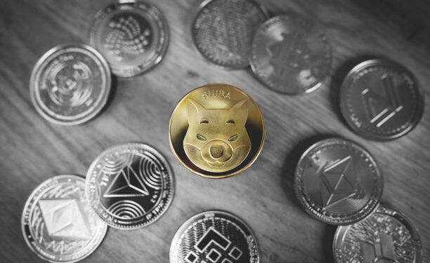 Shiba Inu Sees 300% Surge In This Major Metric, Is The Bottom In?