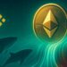 Ethereum Whale Demand Surges On Binance As Price Nears $5,000