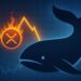 XRP Whale Activity Signals Warning: Distribution Pattern Resurfaces