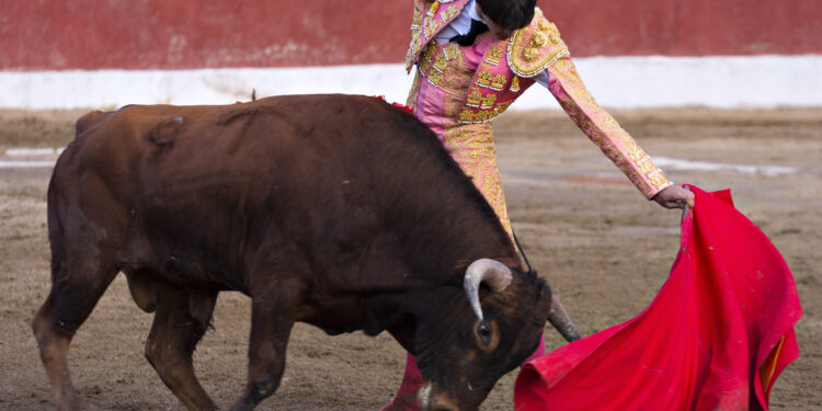 Bitcoin Analyst Builds BTC’s Bullish Case After Binance Volume Spike, Fed Liquidity Surge