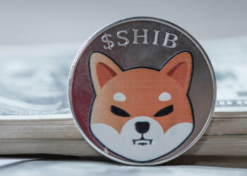 Shiba Inu Descending Channel Breakout Shows Where Price Is Headed Next