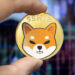 Shiba Inu Flashes Rare Bullish Reversal — Is A 570% Move To $0.000081 Possible?