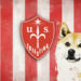 Dogecoin Firm Buys Majority Stake in Struggling Italian Soccer Club US Triestina