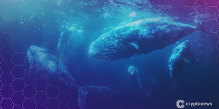 OpenSea to Launch SEA Token in Q1 2026, Allocating 50% to Community