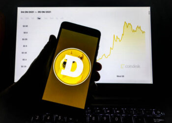 Why The Dogecoin Price Could Reverse To $0.5 As Momentum Reaches Historical Lows