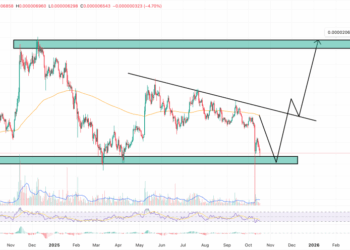 PEPE Price Prediction: SHIB Fades, PEPE Gains – Is This the Meme Coin Flippening Everyone’s Been Waiting For?