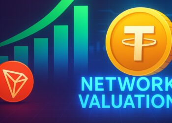 Tron USDT Growth Drives Network Valuation