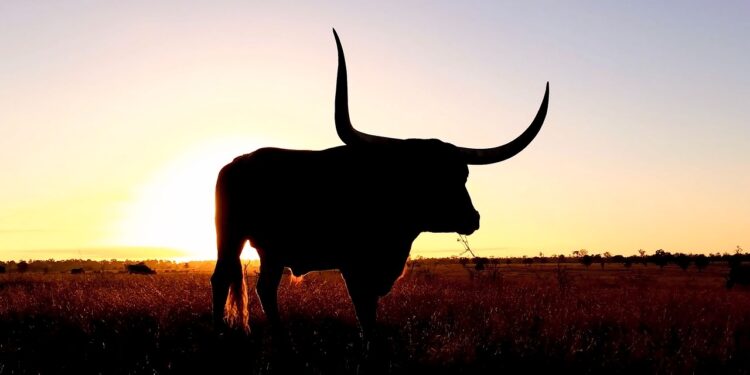 XRP Sparks Bullish Frenzy As Top Dev Says It Beats ETF Hype