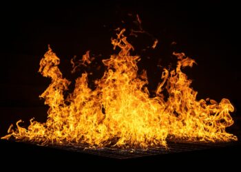 Biggest Shiba Inu Burn In Months — And It Came From A Coinbase Account