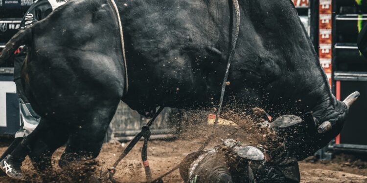 Ethereum Beware — Analyst Says XRP’s Next Bull Run Could Be Deadly