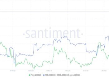 Dogecoin Price Prediction: Hidden On-Chain Data Shows Whales Buying Billions in DOGE – Is Some Big News Coming?