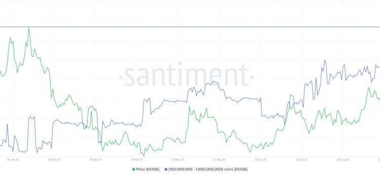 Dogecoin Price Prediction: Hidden On-Chain Data Shows Whales Buying Billions in DOGE – Is Some Big News Coming?