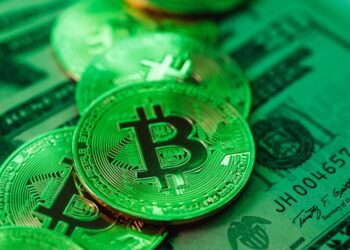 Bitcoin Whale Activity Reflects Sustained Confidence As $163,000 Comes In Sight — Details