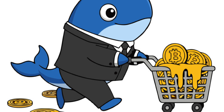 Bitcoin Faces Pressure as ‘OG Whales’ Unload Massive Holdings