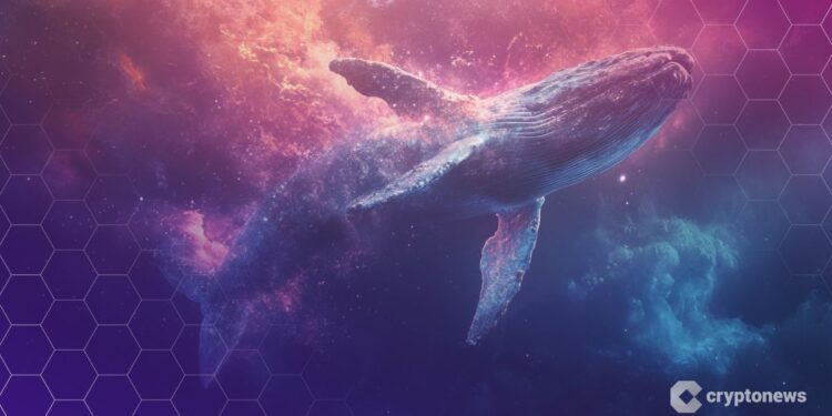 Ethereum Whales Accumulate 7.6M ETH, Hinting at Possible Trend Reversal: Analyst