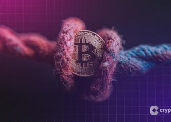 Peter Schiff Calls Saylor’s Bitcoin-Only Strategy ‘Fraud,’ Demands Live Debate