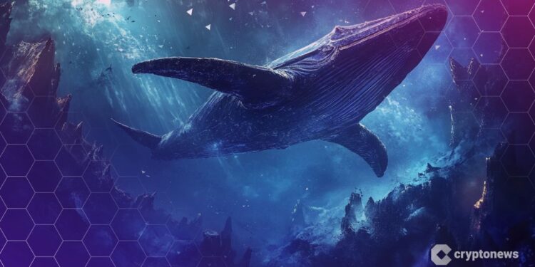 Hyperliquid Whale Who Made $200M on Oct. 10 Crash Now Long $44.5M in ETH