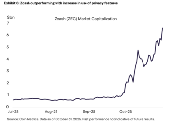 Institutions Are Buying Into The Privacy Coin Hype – But Will It Last?