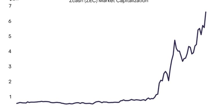 Institutions Are Buying Into The Privacy Coin Hype – But Will It Last?
