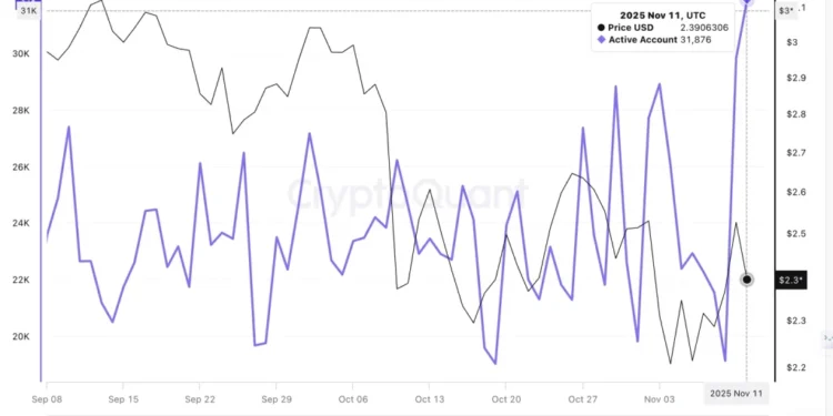XRP Price Prediction: Activity on the XRP Ledger Soars – Traders are Watching This Sneaky Reversal