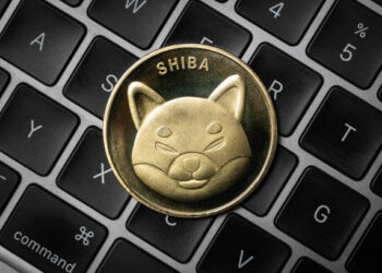 Shiba Inu Derivatives Market Is Taking Off Again, But What Does This Mean For Price?