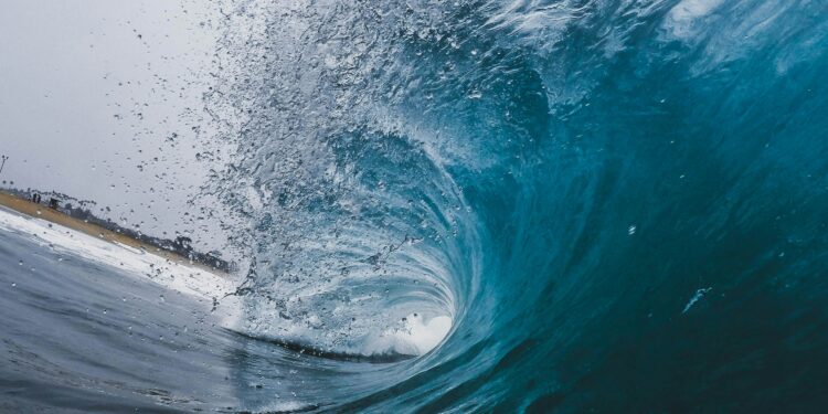 Analyst Says Don’t Fight It