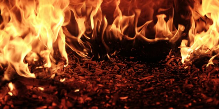 Over 21,000 New Wallets Appear In 48 Hours