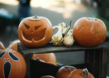 Get Ready, The End Of November Will Be Massive For XRP: CEO
