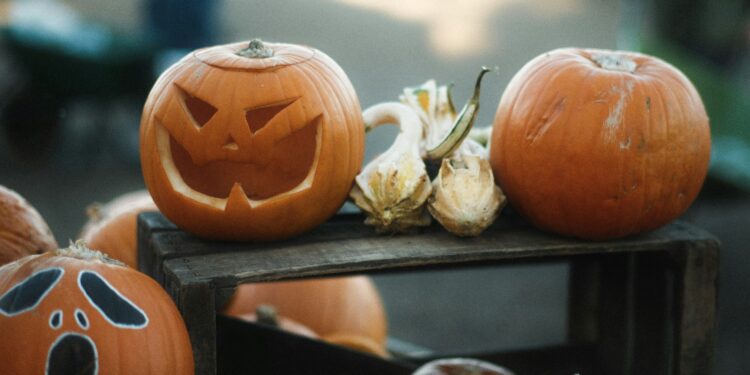 Get Ready, The End Of November Will Be Massive For XRP: CEO