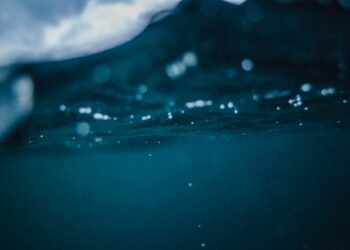 With 42% of XRP Holders Underwater, Analysts Say the Token Could Crash Even Further