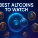 Best Altcoins to Watch as Solana Whales Start Accumulating