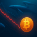 Newbie Bitcoin Whales Capitulating, But Old Hands Stay Silent