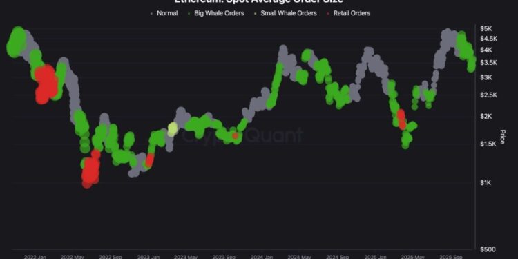 Ethereum Finds Structural Support at $3.4K On Strong Whale Bid – Bulls Target $4,500 Next