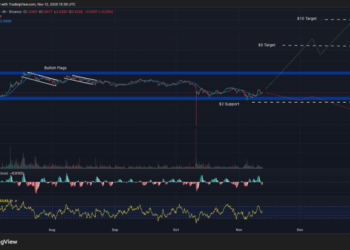 Best Crypto to Buy Now 12 November – XRP, Dogecoin, Pepe
