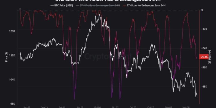 Bitcoin Whales Dump 29,400 BTC at a Loss — But Analysts Say Stay Calm