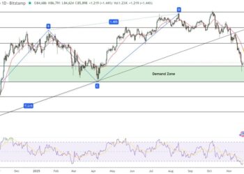 Bitcoin Price Prediction: Smart Money Buying Spot? What the $80,500 Support Level Signals for Q1