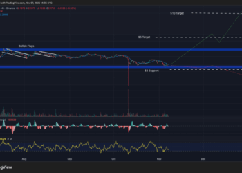 Best Crypto to Buy Now 7 November – XRP, Solana, Dogecoin