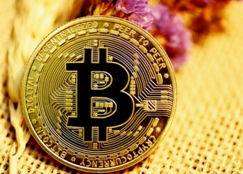 Bitcoin Dominance Signals The Crypto Bull Remains Active