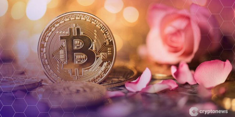 Bitcoin Adviser Reveals How Client Lost Retirement Funds to Romance Scam