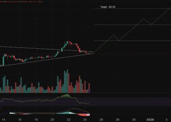 Midnight Price Prediction: As the NIGHT Price Continues to Slip, Is A Christmas Eve Miracle Possible?