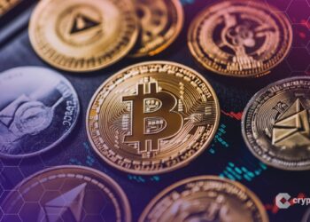 Big Tech Crypto Wallets Coming by 2026, Fintech Blockchains Set to Struggle: Dragonfly