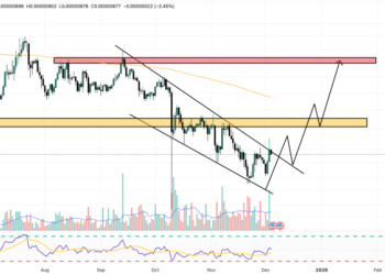 Shiba Inu Price Prediction: 2026 Privacy Upgrade Could Trigger the Next Big SHIB Price Explosion