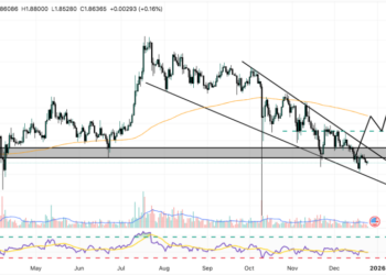 Best Crypto to Buy Now 25 December – XRP, Dogecoin, Shiba Inu
