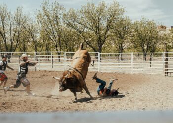 $748 Million Bitcoin Buying Spree Sparks Bullish Momentum