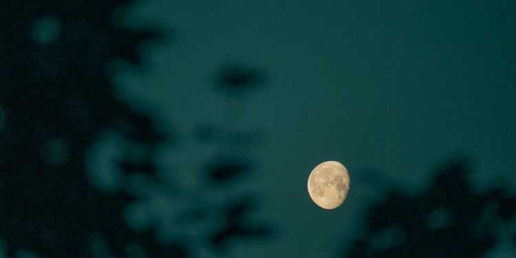 Bitcoin Headed For $200 Trillion? CEO Makes Bold Prediction