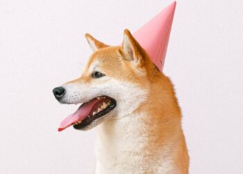 King Of Meme Coin Marks 12th Birthday In Rough Markets