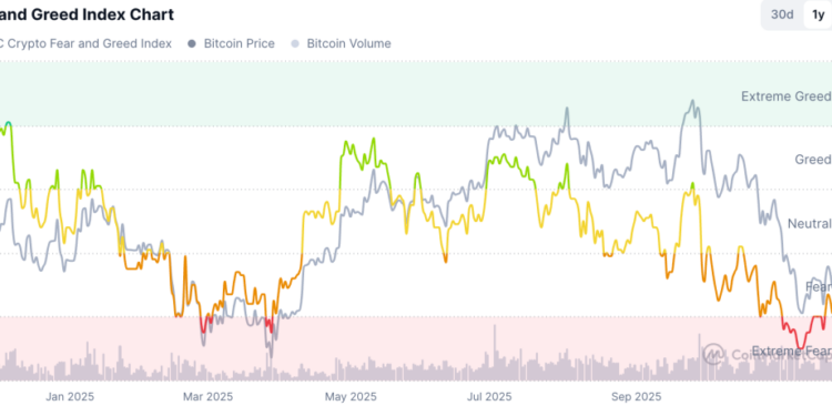 Bitcoin Stalls Near $90K as Select Altcoins Rally, Leaving ‘Altcoin Season’ on Hold