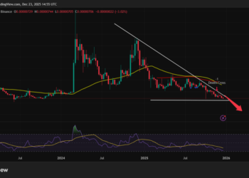 Shiba Inu Price Prediction: Fear Grips Traders As SHIB Posts 66% Price Decrease YoY