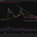 Shiba Inu Price Prediction: Fear Grips Traders As SHIB Posts 66% Price Decrease YoY